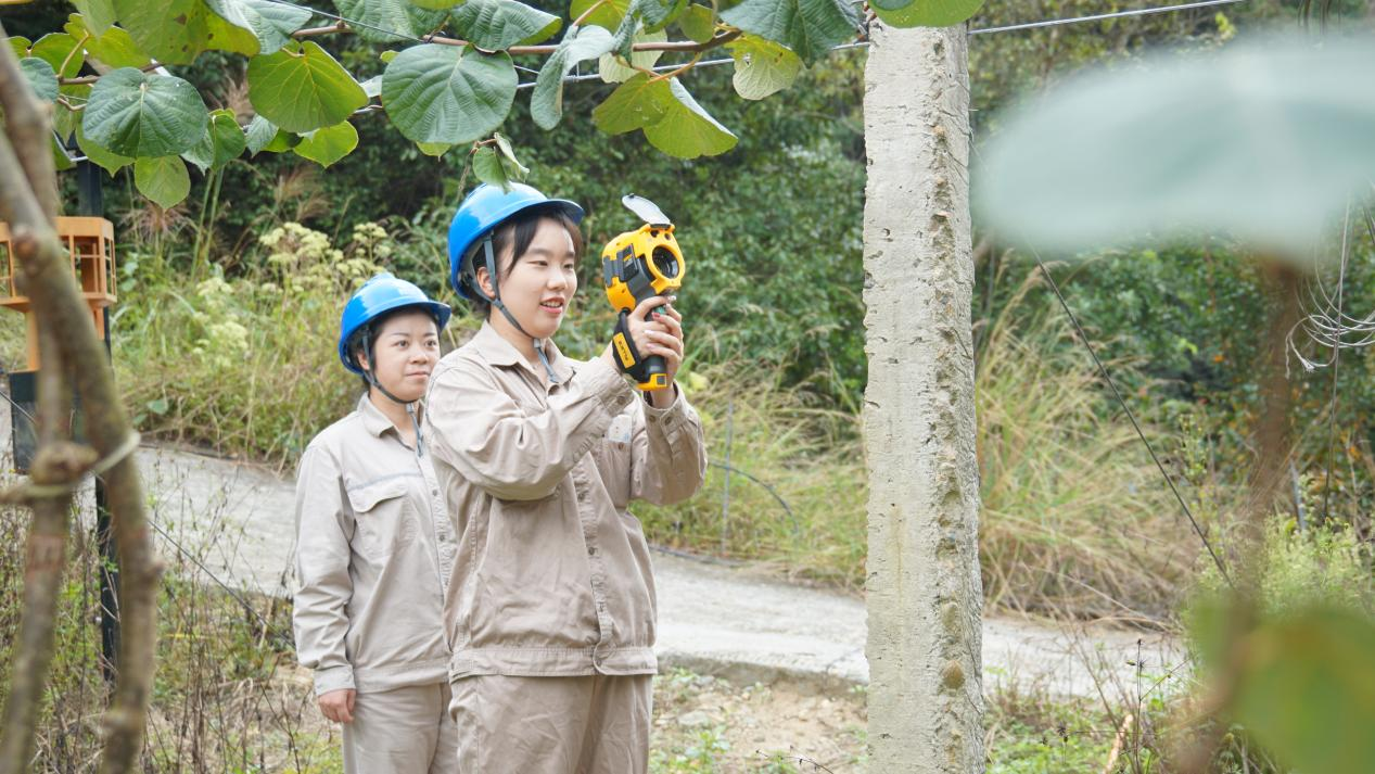 國(guó)網(wǎng)邵武市供電公司工作人員正在對(duì)10千伏拿峰線進(jìn)行紅外測(cè)溫(郭慧超攝) 配圖2
