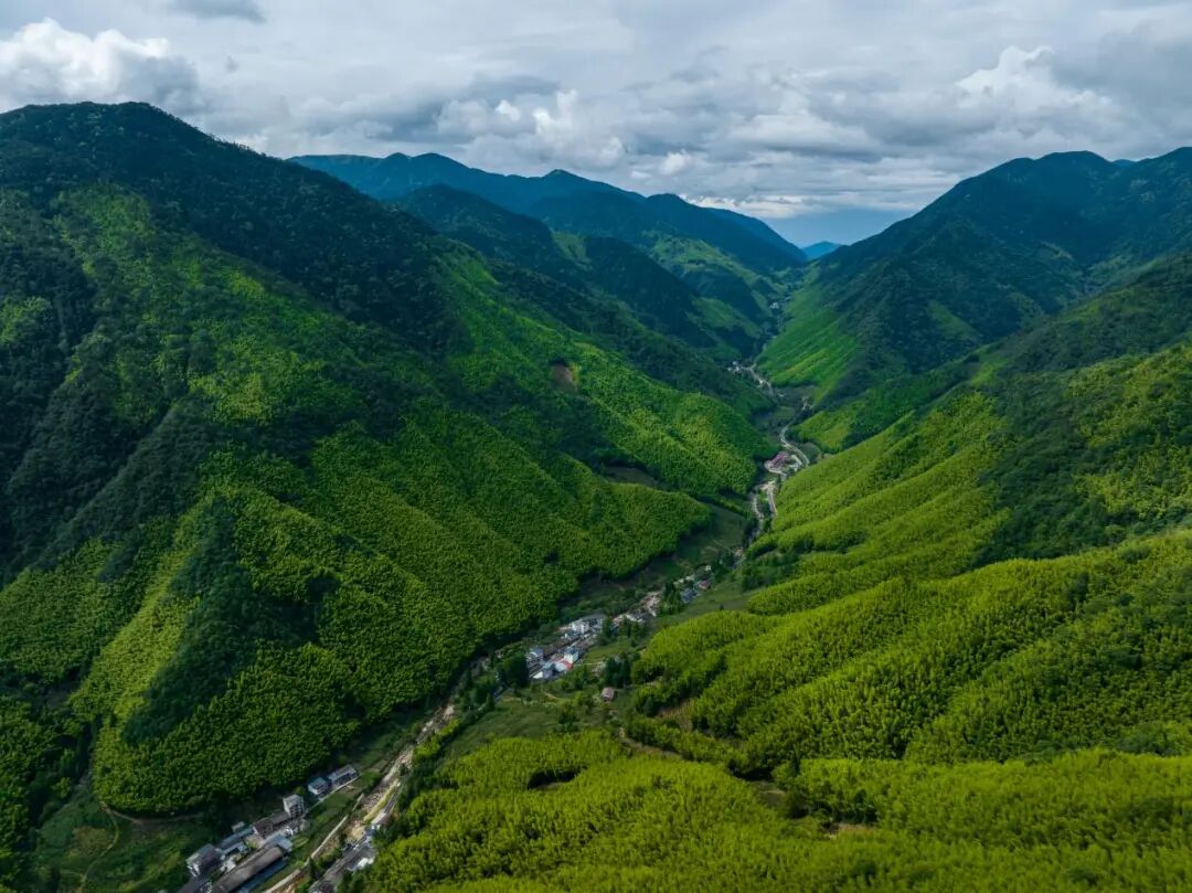 1a064dbc732e40018714f2ba1da4029e.jpeg 圖片