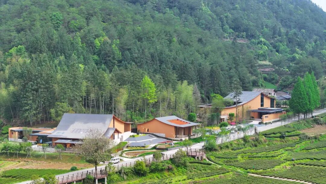 91dcc5c58c9f4830b5ddf6fd3991e8bc.jpeg 圖片