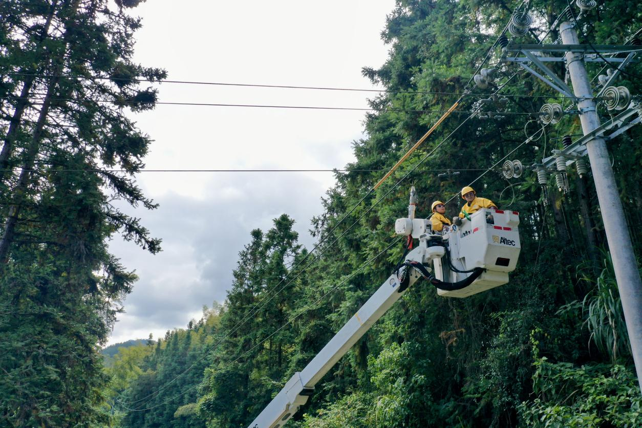國(guó)網(wǎng)邵武市供電公司工作人員正在帶電車上開(kāi)展引線拆除作業(yè)(郭慧超/攝) 配圖1