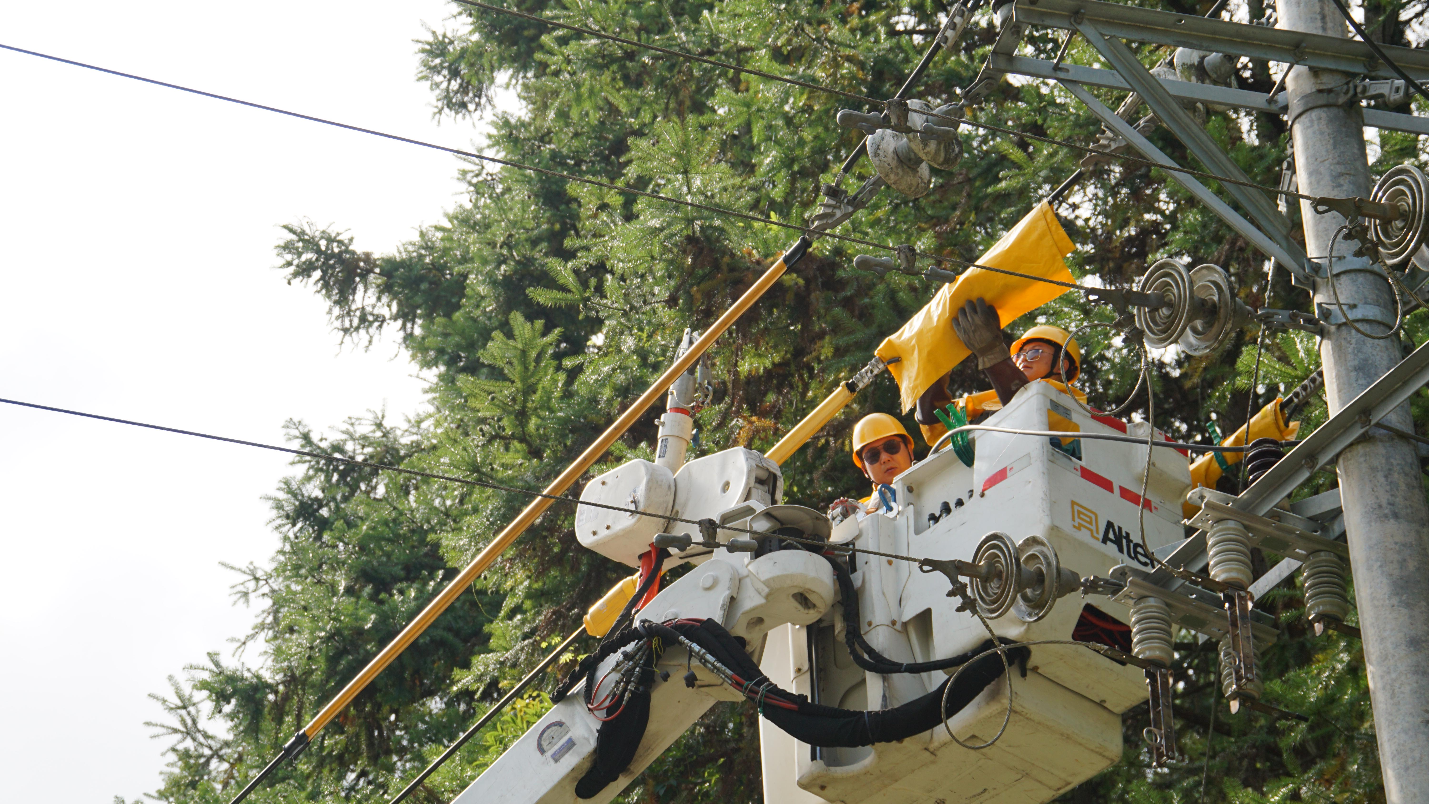 國(guó)網(wǎng)邵武市供電公司工作人員正在帶電車上開(kāi)展引線拆除作業(yè)(郭慧超/攝) 配圖2